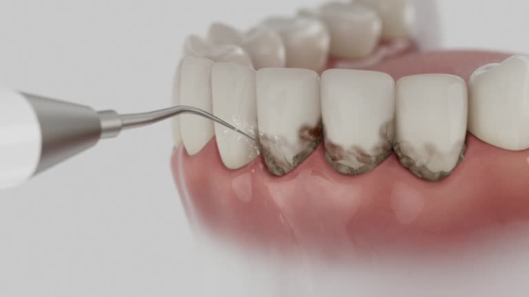Reliable Dental contractor in Sea Breeze, NC by Dentist Open Now